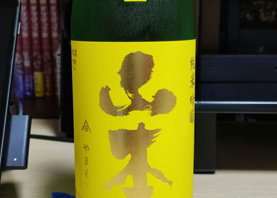 alt 1