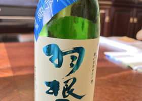 alt 3
