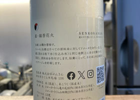 alt 3