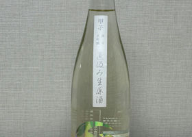 alt 1