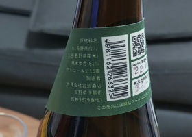 alt 3