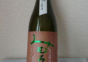 alt 1