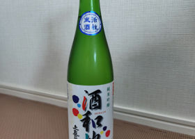 alt 3