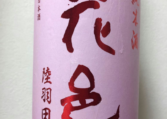 alt 1
