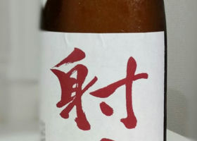 alt 1