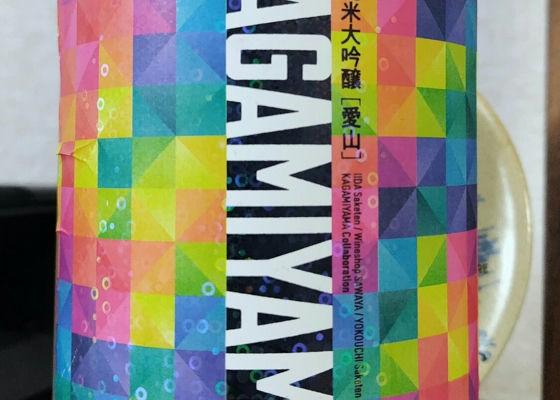 Kagamiyama Check-in 1