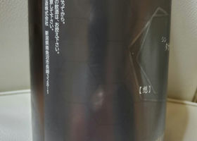 alt 3