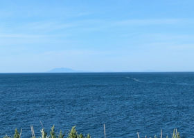 alt 4