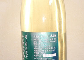 alt 2