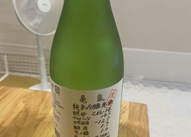 alt 1