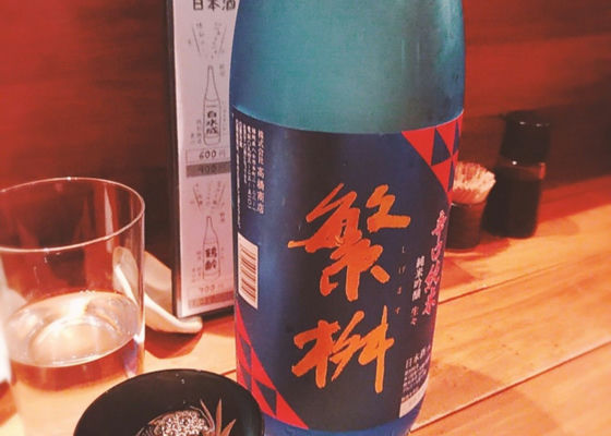 alt 1