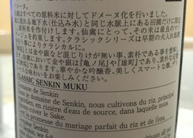 Senkin 签到 2