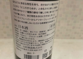 alt 3