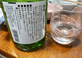 alt 3