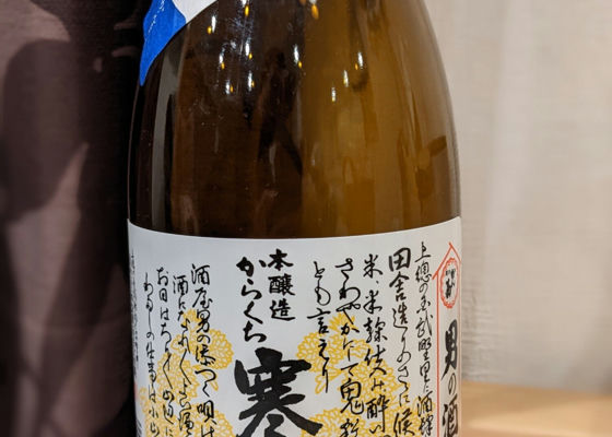 alt 1