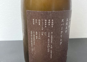 alt 3