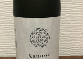 kamosu mori Check-in 2