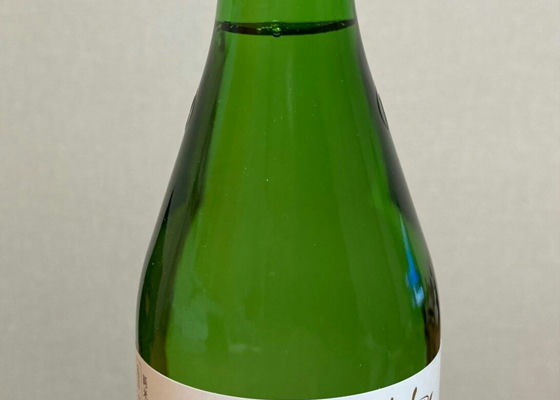 alt 1