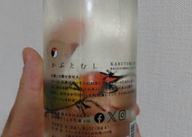 alt 2