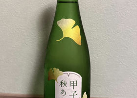 alt 1