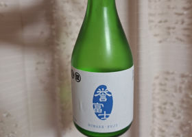 富士山 チェックイン 1