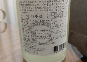 alt 3