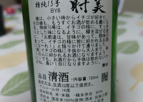 alt 3