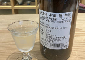 alt 3