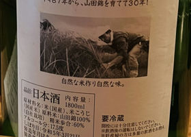 alt 3