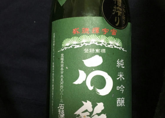 alt 1