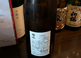 alt 2