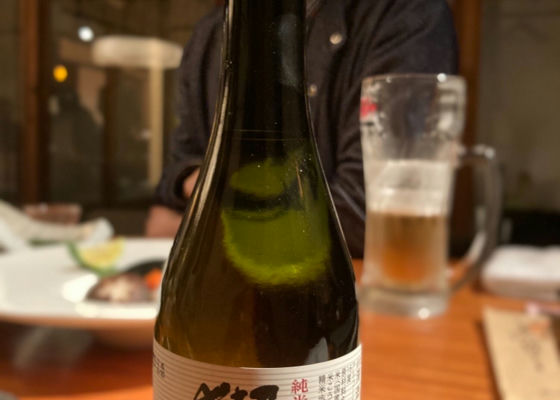 alt 1