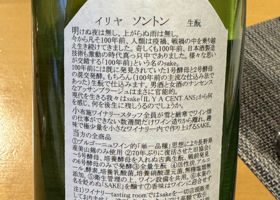 alt 3