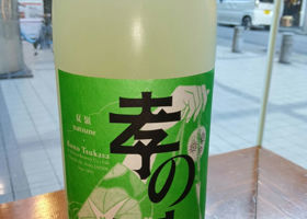 alt 1