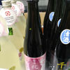 Kashin 3