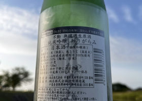 alt 2