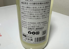 alt 2