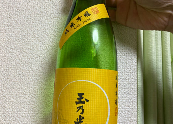 alt 1