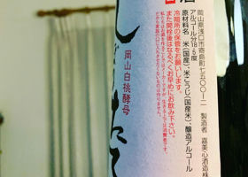 alt 3