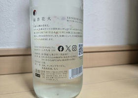 alt 1