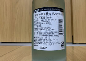 alt 3