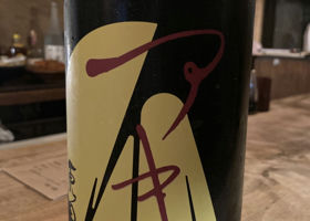 alt 1