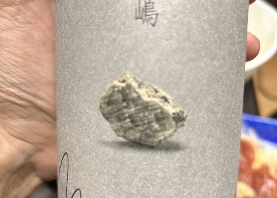 alt 1