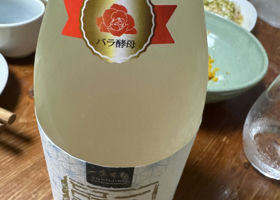alt 3