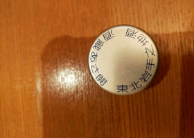 alt 1