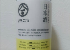 alt 1