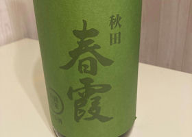 alt 1