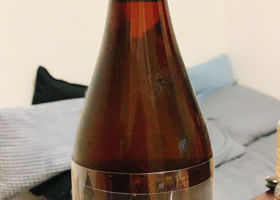 alt 1