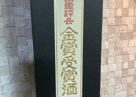 alt 3