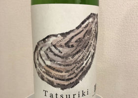 Tatsuriki Check-in 1